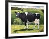 Cow 2021 (oil on canvas)-Tilly Willis-Framed Giclee Print