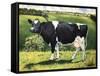 Cow 2021 (oil on canvas)-Tilly Willis-Framed Stretched Canvas