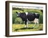 Cow 2021 (oil on canvas)-Tilly Willis-Framed Giclee Print