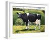 Cow 2021 (oil on canvas)-Tilly Willis-Framed Giclee Print