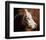 Cow #3-Barry Hart-Framed Art Print