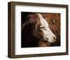 Cow #3-Barry Hart-Framed Art Print