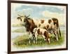 Cow and Calf in a Field-null-Framed Art Print