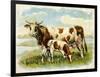 Cow and Calf in a Field-null-Framed Art Print