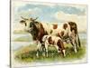 Cow and Calf in a Field-null-Stretched Canvas