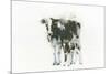 Cow and Calf Light-Emily Adams-Mounted Art Print