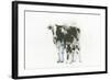 Cow and Calf Light-Emily Adams-Framed Art Print