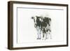 Cow and Calf Light-Emily Adams-Framed Art Print