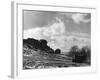 Cow and Calf Rocks-null-Framed Photographic Print