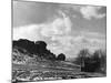 Cow and Calf Rocks-null-Mounted Photographic Print