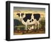 Cow and Cat-Diane Ulmer Pedersen-Framed Art Print