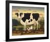 Cow and Cat-Diane Ulmer Pedersen-Framed Art Print