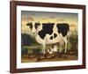 Cow and Cat-Diane Ulmer Pedersen-Framed Art Print