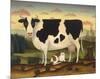 Cow and Cat-Diane Ulmer Pedersen-Mounted Art Print