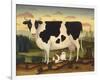 Cow and Cat-Diane Ulmer Pedersen-Framed Giclee Print