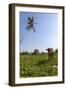 Cow and Crane, Who Share a Simbiotic Relationship, Talpe, Sri Lanka, Asia-Charlie-Framed Photographic Print