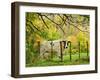 Cow and Farmland, Taoroa Junction, Rangitikei, North Island, New Zealand-David Wall-Framed Photographic Print