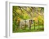 Cow and Farmland, Taoroa Junction, Rangitikei, North Island, New Zealand-David Wall-Framed Photographic Print