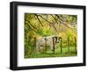 Cow and Farmland, Taoroa Junction, Rangitikei, North Island, New Zealand-David Wall-Framed Photographic Print