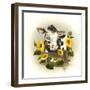 Cow and Sunflowers-Peggy Harris-Framed Giclee Print