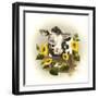 Cow and Sunflowers-Peggy Harris-Framed Giclee Print