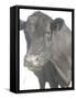 Cow as Farmer 1-null-Framed Stretched Canvas