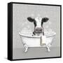 Cow Bath-Janet Tava-Framed Stretched Canvas