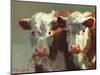 Cow Belles-Carolyne Hawley-Mounted Art Print