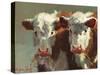 Cow Belles-Carolyne Hawley-Stretched Canvas