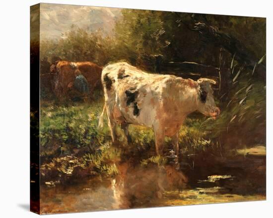 Cow beside a Ditch, c. 1885-1895-Willem Maris-Stretched Canvas