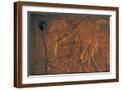 Brown Frame