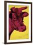 Cow, c.1966 (Yellow and Pink)-Andy Warhol-Framed Giclee Print