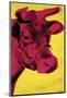 Cow, c.1966 (Yellow and Pink)-Andy Warhol-Mounted Giclee Print