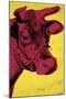 Cow, c.1966 (Yellow and Pink)-Andy Warhol-Mounted Giclee Print