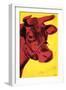 Cow, c.1966 (Yellow and Pink)-Andy Warhol-Framed Art Print