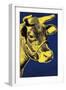 Cow, c.1971 (Blue and Yellow)-Andy Warhol-Framed Art Print