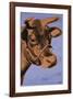 Cow, c.1971 (Purple and Orange)-Andy Warhol-Framed Giclee Print