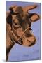 Cow, c.1971 (Purple and Orange)-Andy Warhol-Mounted Giclee Print