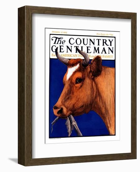 "Cow Chewing Corn Stalk," Country Gentleman Cover, November 17, 1923-Charles Bull-Framed Giclee Print