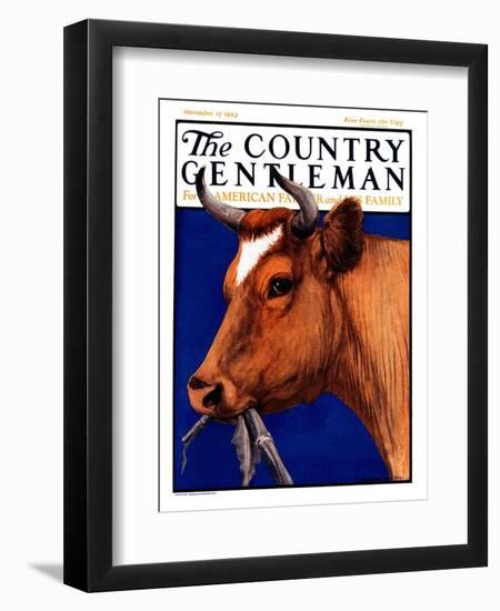 "Cow Chewing Corn Stalk," Country Gentleman Cover, November 17, 1923-Charles Bull-Framed Giclee Print