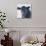 Cow Closer Looking-null-Photographic Print displayed on a wall