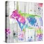 Cow Colorful-OnRei-Stretched Canvas