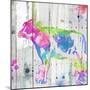 Cow Colorful-OnRei-Mounted Art Print