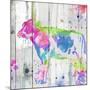 Cow Colorful-OnRei-Mounted Art Print