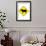 Cow Crossing-null-Framed Art Print displayed on a wall