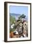 Cow Decorated with Flowers and Ceremonial Bells, South Tyrol, Italy-Martin Zwick-Framed Photographic Print