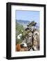 Cow Decorated with Flowers and Ceremonial Bells, South Tyrol, Italy-Martin Zwick-Framed Photographic Print