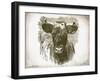 Cow Face I-Gwendolyn Babbitt-Framed Art Print