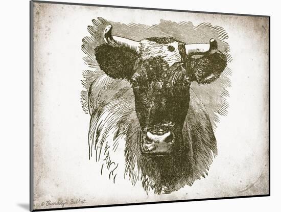 Cow Face I-Gwendolyn Babbitt-Mounted Art Print