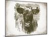 Cow Face I-Gwendolyn Babbitt-Mounted Art Print